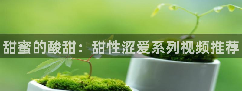 七七影视大全在线观看电视剧免费