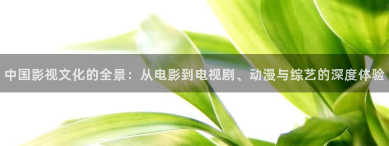 七七影视大：中国影视文化的全景：从电影到电视剧、动漫与综艺的深度体验