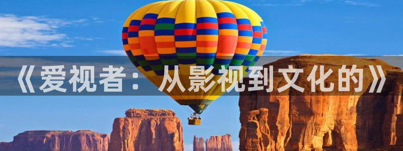 七七影院免费观看：《爱视者：从影视到文化的》