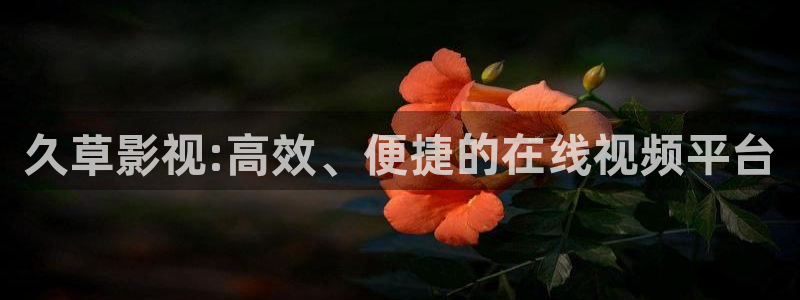 七七影视大全在线观看电视剧免费